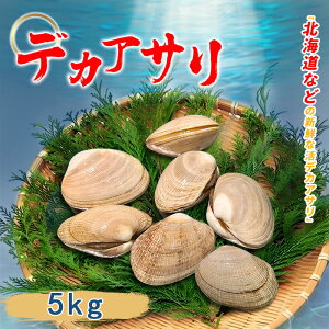 Ɩp fJAT 傫 5kg kt  Y L ϕt  ݂` uߕ pX^
