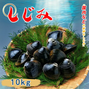  10kg Y VW~  蕨 j ς  ς ݏ` ݃pX^ ݂