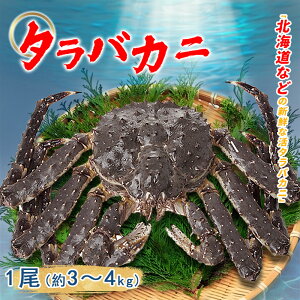 ^oKj1 3~4kg VA kC  ςiŁAj Ă `i݂`j