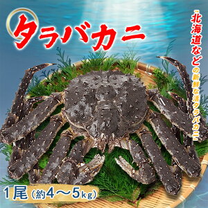 ^oKj1 5~6kg VA kC  ςiŁAj Ă `i݂`j