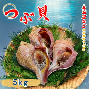 業務用 活 ツブ貝 殻付き 約5kg つぶ貝 粒貝 北海道 貝 酒蒸し 炒め物 贈り物 お祝い