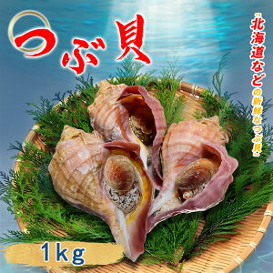  cuL kt 1kg ԊL L kC L  uߕ 蕨 j