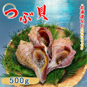  cuL kt 500g ԊL L kC L  uߕ 蕨 j