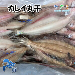 業務用 冷凍 カレイ丸干 カレイ 1尾130〜150g 10尾 大満足 贈り物