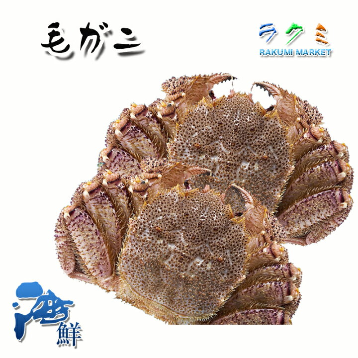 楽天市場】冷凍 毛ガニ 1箱 9尾 4kg（1尾約440~450g）北海道 