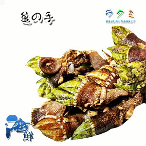 Ɩp T̎ Jme 10kg H {Y H  C ݂` ̍ Ae ܂ 