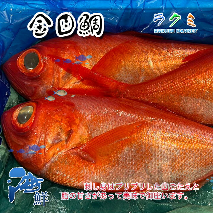 楽天市場 金目鯛 1尾 約1 6 2kg キンメダイ きんめだい 栄養 刺身 煮るしゃぶしゃぶ 塩焼き 千葉県 ラクミマーケット