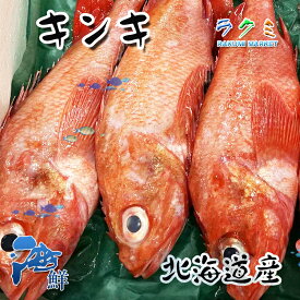 新鮮 キンキ 1kg（約2〜4尾）北海道産 きんき きちぎ 高級魚 塩焼き 唐揚げ 刺身