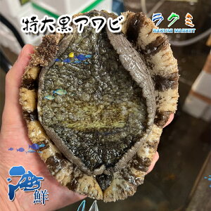 Y  VRAr 1300~350g Ar   m É