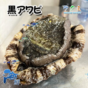 Y  VRAr 1350~400g Ar   m É