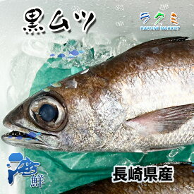 長崎県産 黒ムツ 約1kg（約2〜3尾）クロムツ 黒むつ 塩焼き 刺身 酒蒸し 鍋