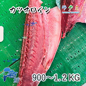 生カツオロイン 血合い抜き 約1kg-1.5kg かつお 鰹