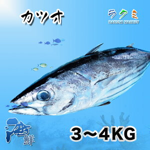 yIdzJcI 1i3-4kgj܂邲1{ {ނ tY   hg  g ʂ Ђ ؂