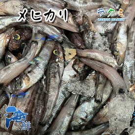 業務用 メヒカリ 約5kg（1尾約20〜30g) めひかり 刺身 唐揚げ 天ぷら 南蛮漬け 塩焼き 煮る