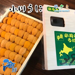 Ej ̂ 220~250g VAYkCY D] EjpX^ Ej`[n 키 