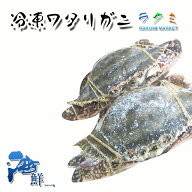 冷凍ワタリガニ 3kg （1尾約250 ) わたりがに 渡り蟹 ゆでガニ 焼きガニ 蒸しガニ 汁（みそ汁） 炊き込み…