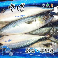 業務用 静岡・房総産 ゴマサバ 1尾約700~900g 鯖 さば 塩焼き 煮もの 唐揚げ 刺身