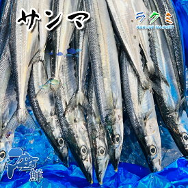 解凍 秋刀魚 サンマ 生さんま 20尾 (1尾約100~130g) 北海道 塩焼き 蒲焼き 唐揚げ 天ぷら