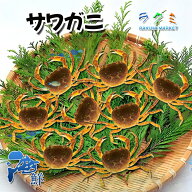 国産 天然 サワガニ 沢蟹 1パック（約50匹） 宮崎産 さわがに 酒蒸し 甲羅だし‌ 素揚げ 焼く 梅雨の味覚…