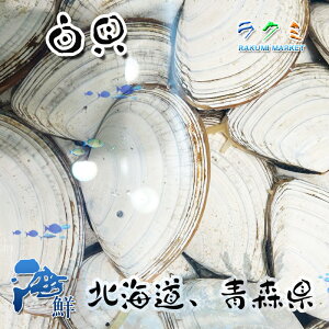 貝 刺身 白の人気商品 通販 価格比較 価格 Com