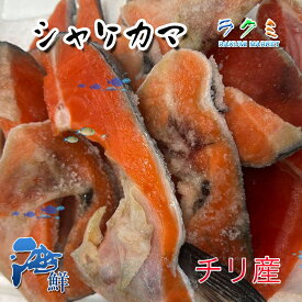 鮭 カマ 切身 切り落とし 甘塩 10kg~11kg チリ産 紅鮭 塩焼 冷凍
