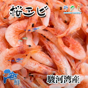 Ⓚ 500g x 2 x͘pY̑ TNGr hg Aq[W g 傤