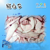 北海道 生白子 1kg 鮭の白子 しらこ 海の幸 ミネラルも豊富 疲労回復 免疫up
