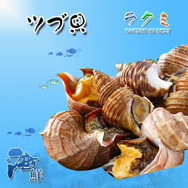 活 ツブ貝 殻付き 約1kg つぶ貝 粒貝 北海道 貝 酒蒸し 炒め物 贈り物 お祝い