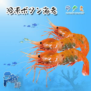 Ⓚ {^Gr 6/8 500g {^CV hg il^  X` ϕt pX^