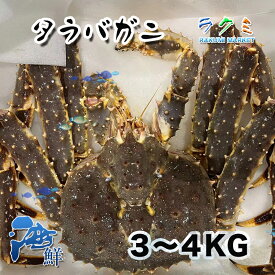 生タラバガニ1尾 約4~5kg ロシア 北海道 蒸す 煮る（塩ゆで、鍋） 焼く 汁（みそ汁）