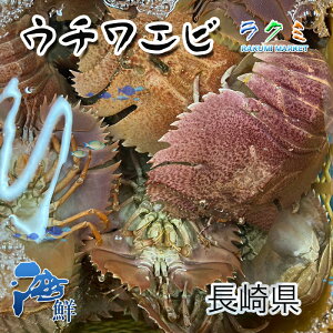 VR CV 3kg 1C 200`300g CV 킦 fĂ  hg