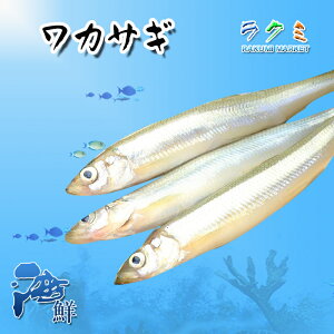 Ɩp JTM 3kg 킩   VՂ tC g fĂ Ă Ă 傤Ă ؂̉