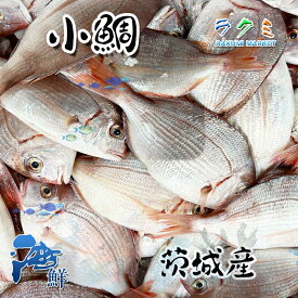【業務用】小鯛 3kg（1尾150~200g）鯛 タイ たい 茨城産 塩焼 鯛汁 鯛の煮付け 鯛の昆布じめ 唐揚げ