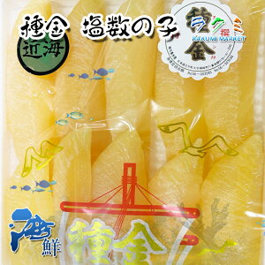 Ε)  ̎q 500g x 2 kCY Ii ̎q ̂ JYmR 