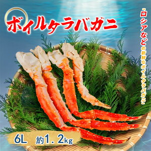 {C ^oKj  6LTCY 1 1.2kg Jj I ΂ 蕨 I ĂI ^o  I ΊI ΂ ̓ Ε hV̓ NNn o[xL[ BBQ