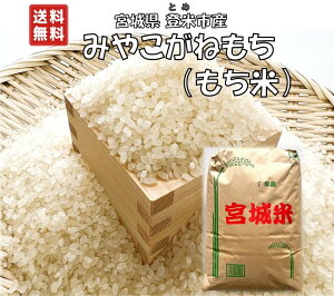 yVāEāzߘa7N {錧 oĎs  ݂₱˂ 30kg ꓙ L@엿 _