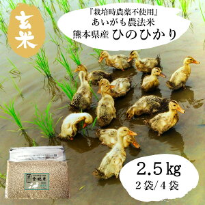 yԌN[|zzIGăv[gzACK_@ ͔|_sgp  w엿 sgpqārF{Y Ђ̂Ђ 5kg 10kg ߘa7NY  _@  [ 