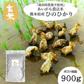 【 玄米 長期保存可能 】 アイガモ農法 栽培時農薬不使用〈玄米〉熊本県産 ひのひかり 900g (6合) 令和7年産 送料無料 ポスト投函 コンパクト 収納 便利 おいしい 米 チャック 脱酸素剤 長期保存 長期備蓄 安心 安全 無酸素パック