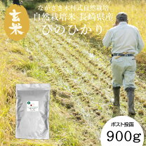 長崎 ヒノヒカリの通販