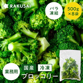 業務用 国産 ブロッコリー 冷凍 小分け バラ凍結 500g×8袋 野菜 冷凍野菜 食感 ヘルシー ビタミンC 食物繊維 簡単調理 時短 スチーム 加熱 調理済み サラダ スープ おかず お弁当 RAKUSAI 楽彩 送料無料 保存料着色料 無添加 時短