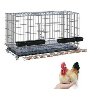 吢ѐ܂肽݌{ { `LP[WP[W t[h{Et GbO[P[W g[A