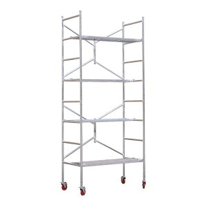 Ƒ  ݑ ړƑ 255cm 4i zC[t