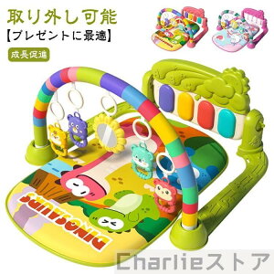 y vC}bg oYj  0-36 Ԃ sAmW Vԃ}bg xr[W c v[g vCW sAmW 