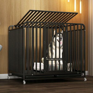 Vi ybgP[W S B  P[W ybgT[N hbOP[W ybgtFX ^ ^p ybgpi _uhA LX^[t