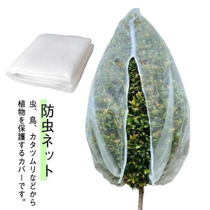 hlbg AیJo[ Q΍  t@Xi[t ؖ В ؍͔| |plbg Ap hlbg x_ ʎ ݂