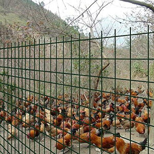 ԃtFX1PCSA1.2MiHjx 30MiLjC[bL6CMbVTCY2 MMC[aAAtFVOی삷邽 Dark green 1.2X30M