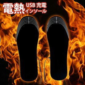 電熱インソール 中敷き ヒートインソール USB充電 電熱 インソール 衝撃吸収 パッド 防寒 保温 冷え性対策 洗える サイズ調整 軽量 発熱インソール フットウェア あったか 暖かい オフィス 通勤 登山 アウトドア 男女兼用 22.5cm～27.5cm