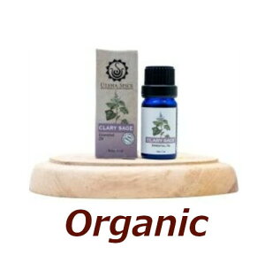 őɏXLPA@GbZVIC@NZ[W10mlyUTAMA SPICE FE^}XpCXzy100NaturalzKAi