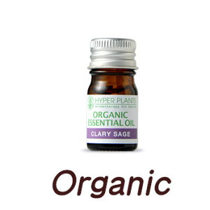 N[Z[W@ 5ml@I[KjbN@nCp[vc@GRT[g͕\AEAJF萸