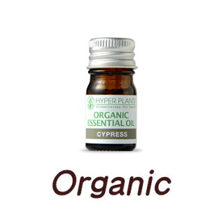 TCvX@ 5ml@I[KjbN@nCp[vc@GRT[g͕\AEAJF萸